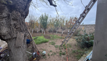 4 otaqlı Villa / Həyət evi, Satış, Bakı, Sabunçu, Koroğlu