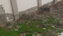 3 otaqlı Villa / Həyət evi, Satış, Bakı, Sabunçu, Koroğlu