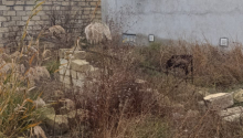 4 sot Torpaq, Satış, Bakı, Sabunçu, Koroğlu