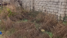 4 sot Torpaq, Satış, Bakı, Sabunçu, Koroğlu
