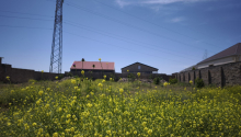 11 sot Torpaq, Satış, Bakı, Xəzər