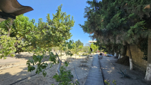 25 sot Torpaq, Satış, Bakı, Sabunçu, Koroğlu