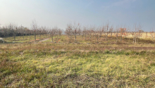 64 sot Torpaq, Satış, Göyçay