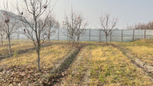 64 sot Torpaq, Satış, Göyçay