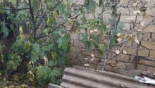 5 sot Torpaq, Satış, Bakı, Sabunçu, Koroğlu