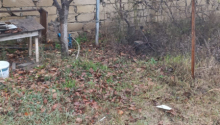 5 sot Torpaq, Satış, Bakı, Sabunçu, Koroğlu