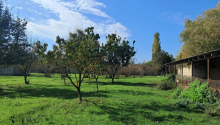 200 sot Torpaq, Satış, Xaçmaz