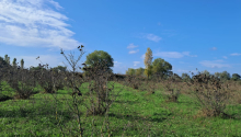 200 sot Torpaq, Satış, Xaçmaz