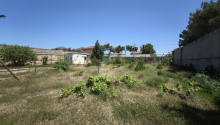 12.5 sot Torpaq, Satış, Bakı, Xəzər