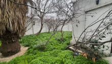 9 otaqlı Obyekt, Kirayə (aylıq), Bakı, Sabunçu