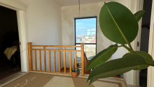 5 otaqlı Bağ evləri, Satış, Bakı, Xəzər, Koroğlu