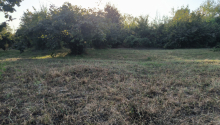 21 sot Torpaq, Satış, Qəbələ