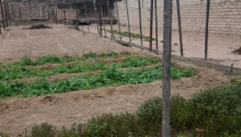 5 sot Torpaq, Satış, Bakı, Xəzər