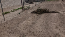 5 sot Torpaq, Satış, Bakı, Xəzər