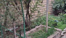 5 otaqlı Villa / Həyət evi, Satış, Bakı, Sabunçu, Koroğlu