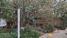 5 otaqlı Villa / Həyət evi, Satış, Bakı, Sabunçu, Koroğlu