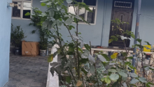 5 otaqlı Villa / Həyət evi