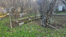 10 sot Torpaq, Satış, Bakı, Səbail, Elmlər Akademiyası