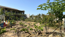 6 otaqlı Bağ evləri, Satış, Bakı, Xəzər