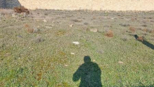3 sot Torpaq, Satış, Bakı, Səbail