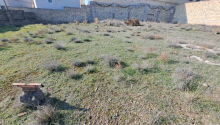 3 sot Torpaq, Satış, Bakı, Səbail