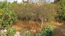 3 sot Torpaq, Satış, Bakı, Sabunçu