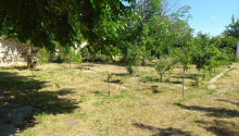 16 sot Torpaq, Satış, Abşeron