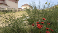 12 sot Torpaq, Satış, Bakı, Xəzər
