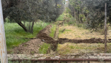 6 sot Torpaq, Satış, Bakı, Binəqədi, Nəsimi