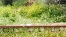 6 sot Torpaq, Satış, Bakı, Binəqədi, Nəsimi