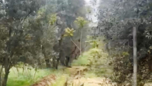 6 sot Torpaq, Satış, Bakı, Binəqədi, Nəsimi