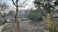 7 sot Torpaq, Satış, Bakı, Səbail, İçəri şəhər