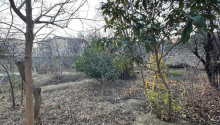 7 sot Torpaq, Satış, Bakı, Səbail, İçəri şəhər