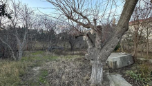 7 sot Torpaq, Satış, Bakı, Səbail, İçəri şəhər