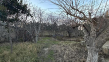 7 sot Torpaq, Satış, Bakı, Səbail, İçəri şəhər