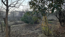 7 sot Torpaq, Satış, Bakı, Səbail, İçəri şəhər