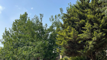 8 otaqlı Bağ evləri, Satış, Abşeron