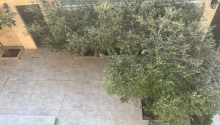 4 otaqlı Villa / Həyət evi, Satış, Xırdalan