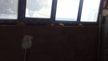 2 otaqlı Yeni tikili, Satış, Xırdalan