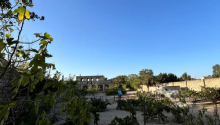 24 sot Torpaq, Satış, Bakı, Xəzər, Koroğlu