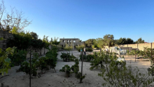 24 sot Torpaq, Satış, Bakı, Xəzər, Koroğlu