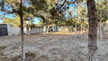 24 sot Torpaq, Satış, Bakı, Xəzər, Koroğlu
