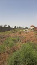200 sot Torpaq, Satış, Abşeron
