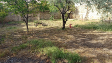 770 m2 Torpaq, Satış, Bakı, Səbail
