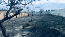 9 m2 Torpaq, Satış, Abşeron