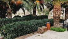 22 otaqlı Bağ evləri, Satış, Bakı, Xəzər, Koroğlu