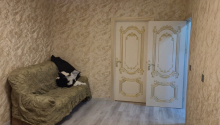 2 otaqlı Köhnə tikili, Kirayə (aylıq), Bakı, Nəsimi, Memar Əcəmi