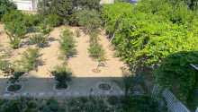 10 otaqlı Bağ evləri, Satış, Bakı, Xəzər, Koroğlu