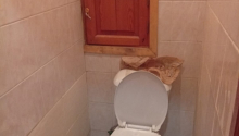 2 otaqlı Köhnə tikili, Kirayə (aylıq), Bakı, Yasamal, İnşaatçılar