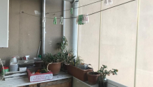 3 otaqlı Yeni tikili, Satış, Bakı, Binəqədi, Azadlıq pros.